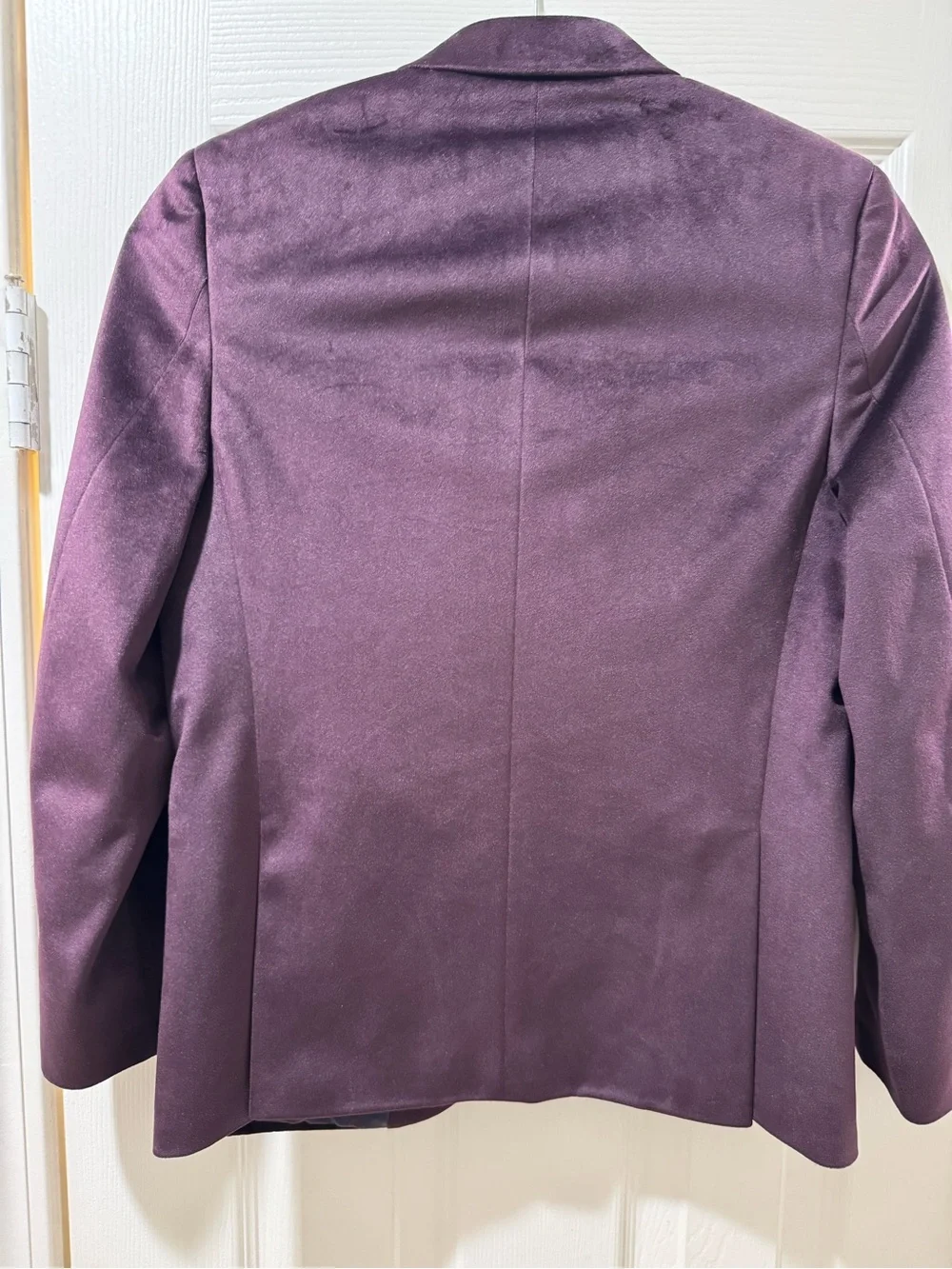 Lauren Ralph Lauren Deep Velvet Blazer in Deep Plum